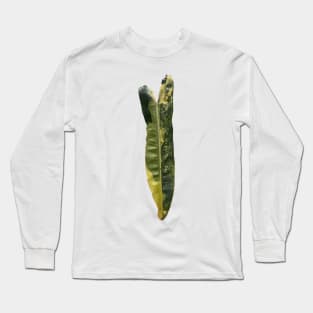 Rare and Expensive Variegated Philodendron Billietiae Design Long Sleeve T-Shirt